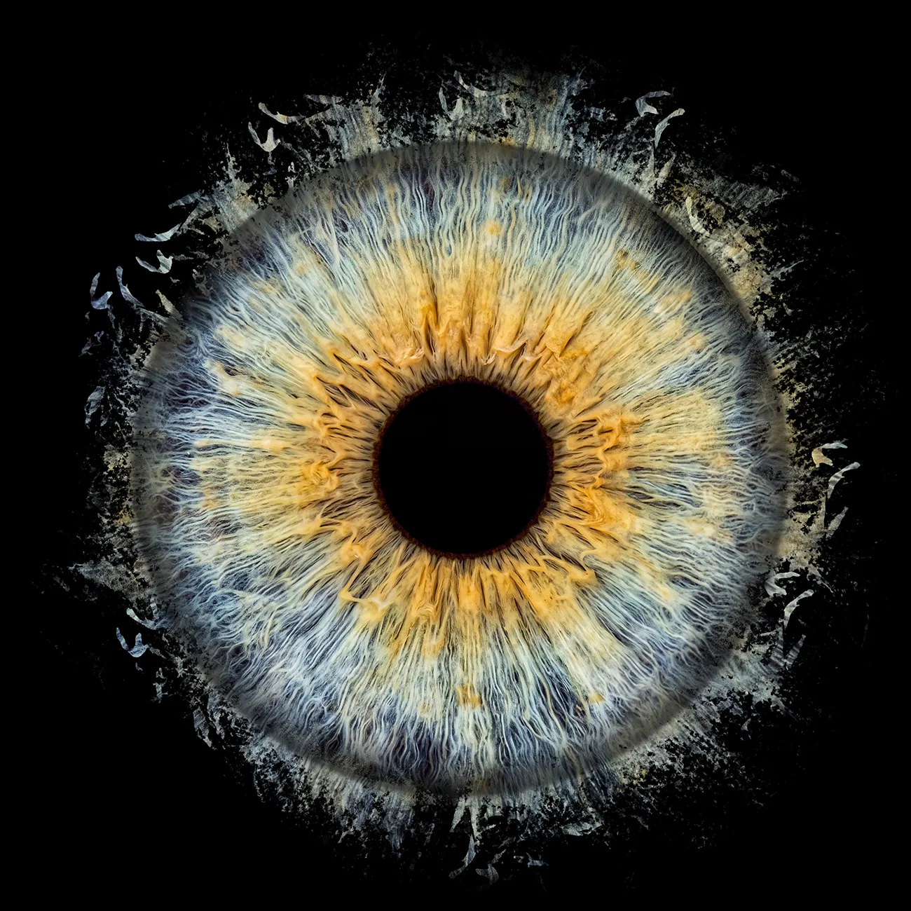 Iris-Fotografie für ein Paar