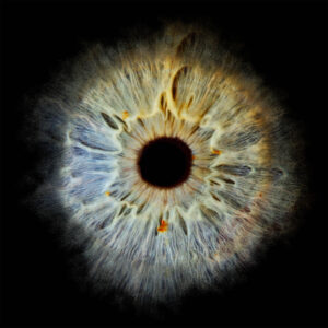 Iris Fotografie Ingolstadt